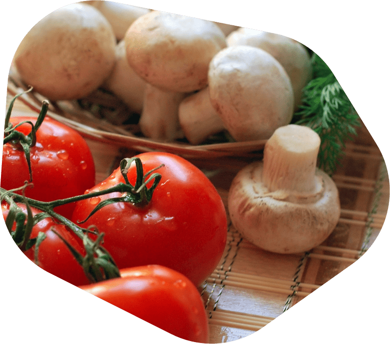 Global Food Services Company Perfect Teams